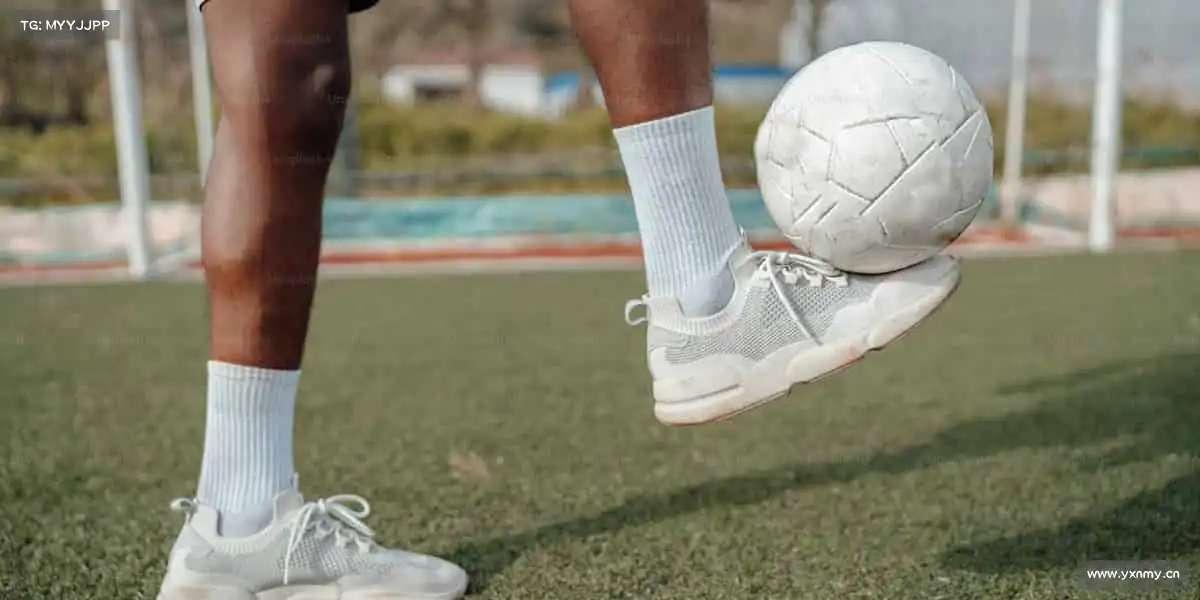 为什么选择我们